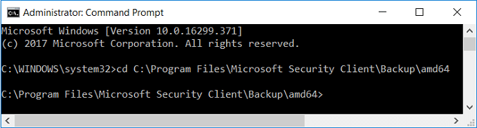 cd la directory di Microsoft Security Client
