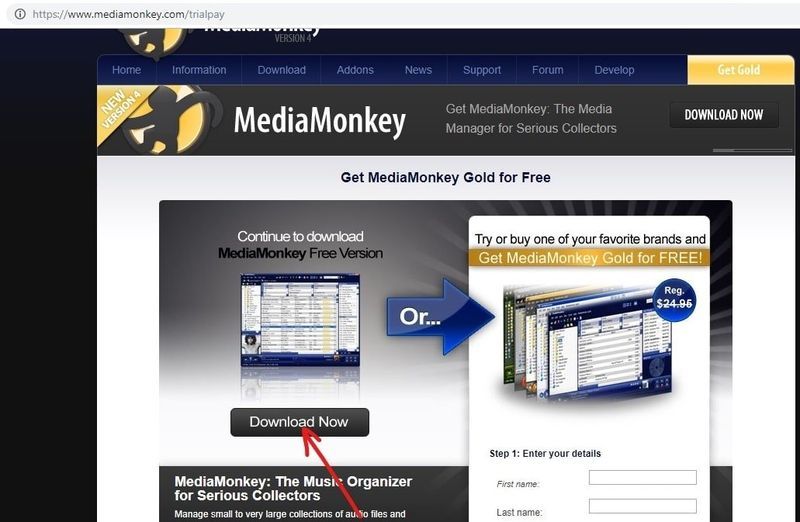 ウェブサイトMediaMonkeyを開き、ダウンロードをクリックします