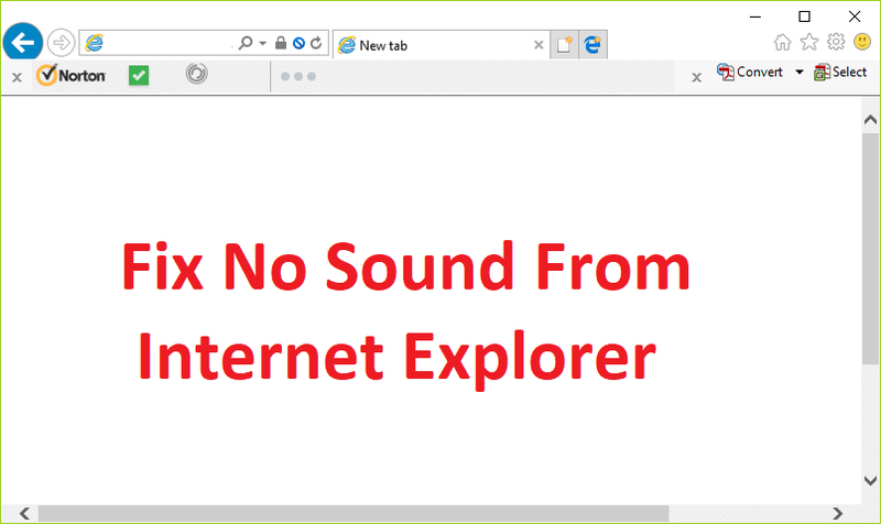 Hoʻoponopono ʻaʻohe kani mai ka Internet Explorer