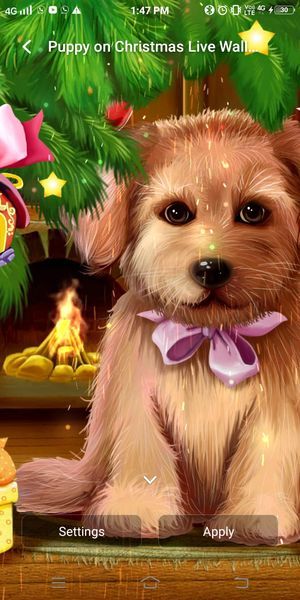Live Wallpapers 3D tərəfindən Christmas Puppy Canlı Divar kağızı
