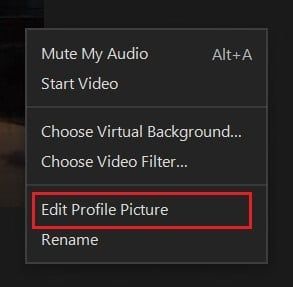 clique com o botão direito do mouse no vídeo e clique em Editar foto do perfil | Mostrar imagem de perfil na reunião de zoom em vez de vídeo