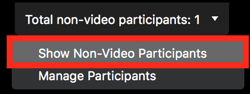 кликнете на Прикажи не-видео учесници.