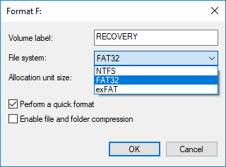 আপনার ব্যবহার অনুযায়ী FAT, FAT32, exFAT, NTFS, বা ReFS থেকে ফাইল সিস্টেম নির্বাচন করুন