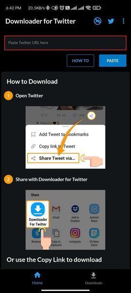 Caixa de URL no aplicativo Downloader for Twitter. Como salvar GIF do Twitter no Android e no computador
