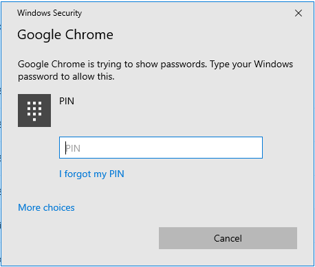 insira as credenciais de login do Windows 10 para garantir que é você que está tentando ler as senhas.