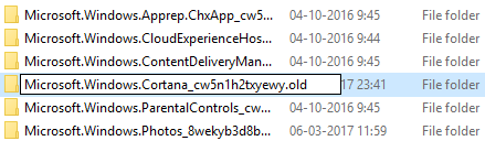 フォルダMicrosoft.Windows.Cortana_cw5n1h2txyewyを削除または名前変更します